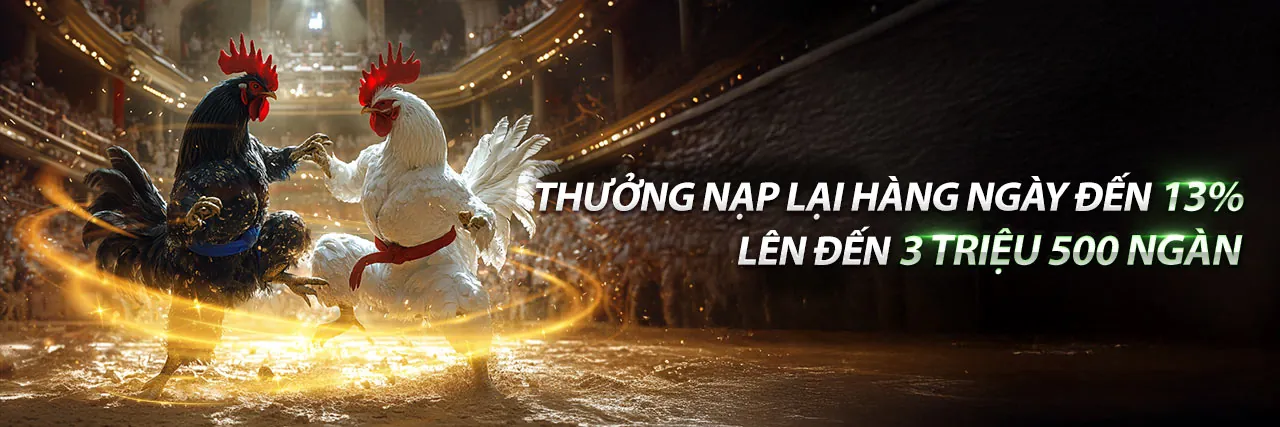 Hình ảnh chính về cá cược thể thao 88ne